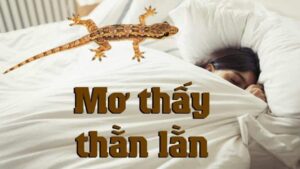 1711178543195 Ý nghĩa khi bạn nằm mơ thấy thằn lằn